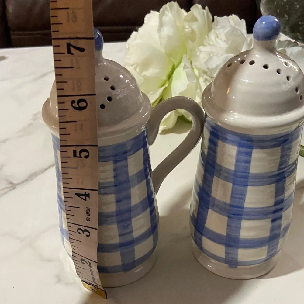 Country Living Blue and White Checkered Ceramic Salt and Pepper Shakers